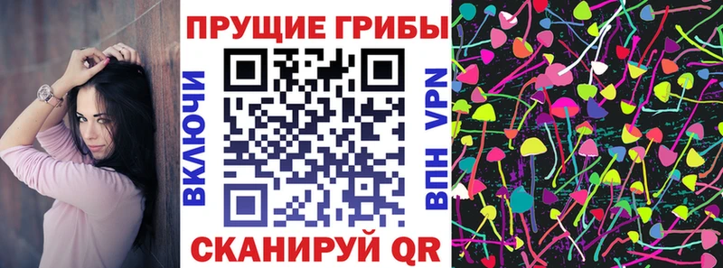 KRAKEN ссылка  Плёс  Галлюциногенные грибы Psilocybine cubensis  как найти наркотики 